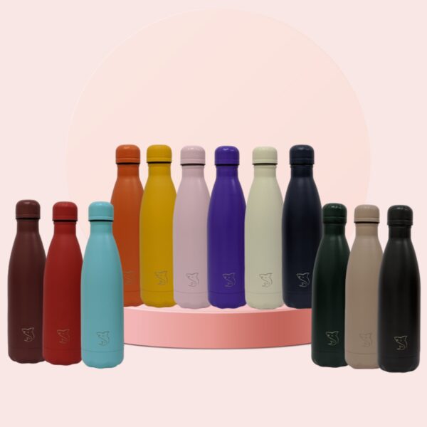 Sharkbottle | Different Colors | Double Walled Insulated | Sharkbottle